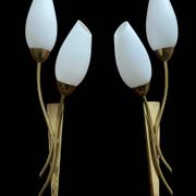 Brass and white opaline "Tulip" wall lights 1950