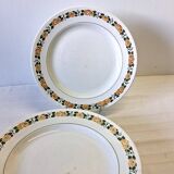 6 Villeroy & Boch dinner plates in good condition