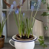 Pot en acier émaillé