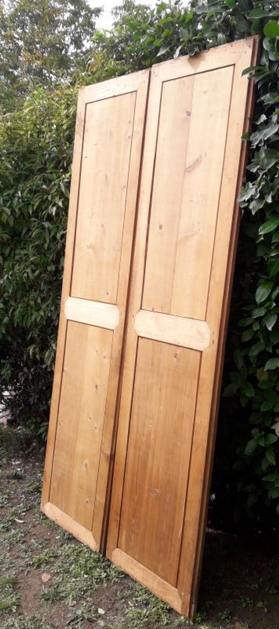 Paire de portes 248x129cm anciennes