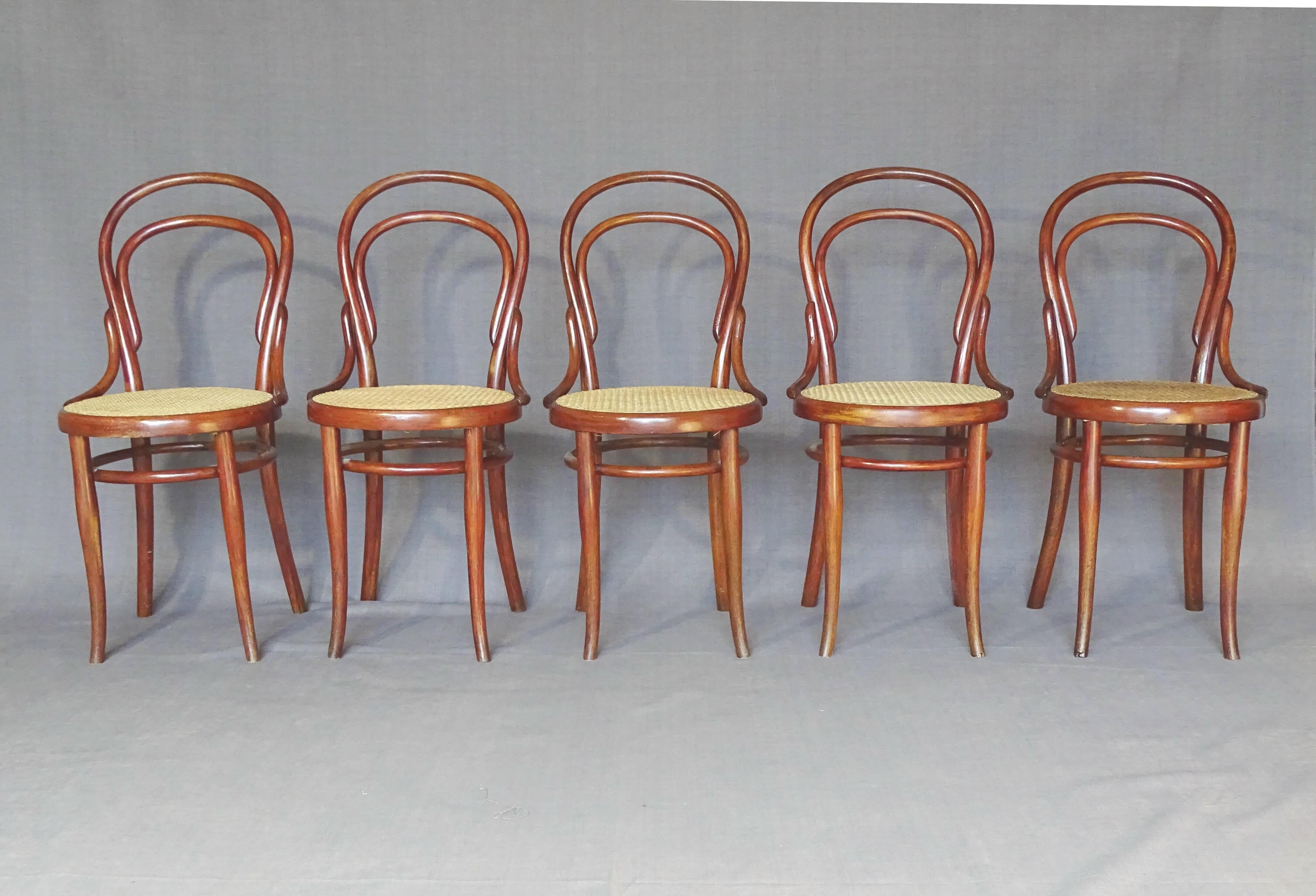 Set of 5 Thonet chairs N°14 1/2 circa 1910 perfect cannages