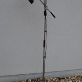 Floor lamp 1 Spotlight editor DBGMa