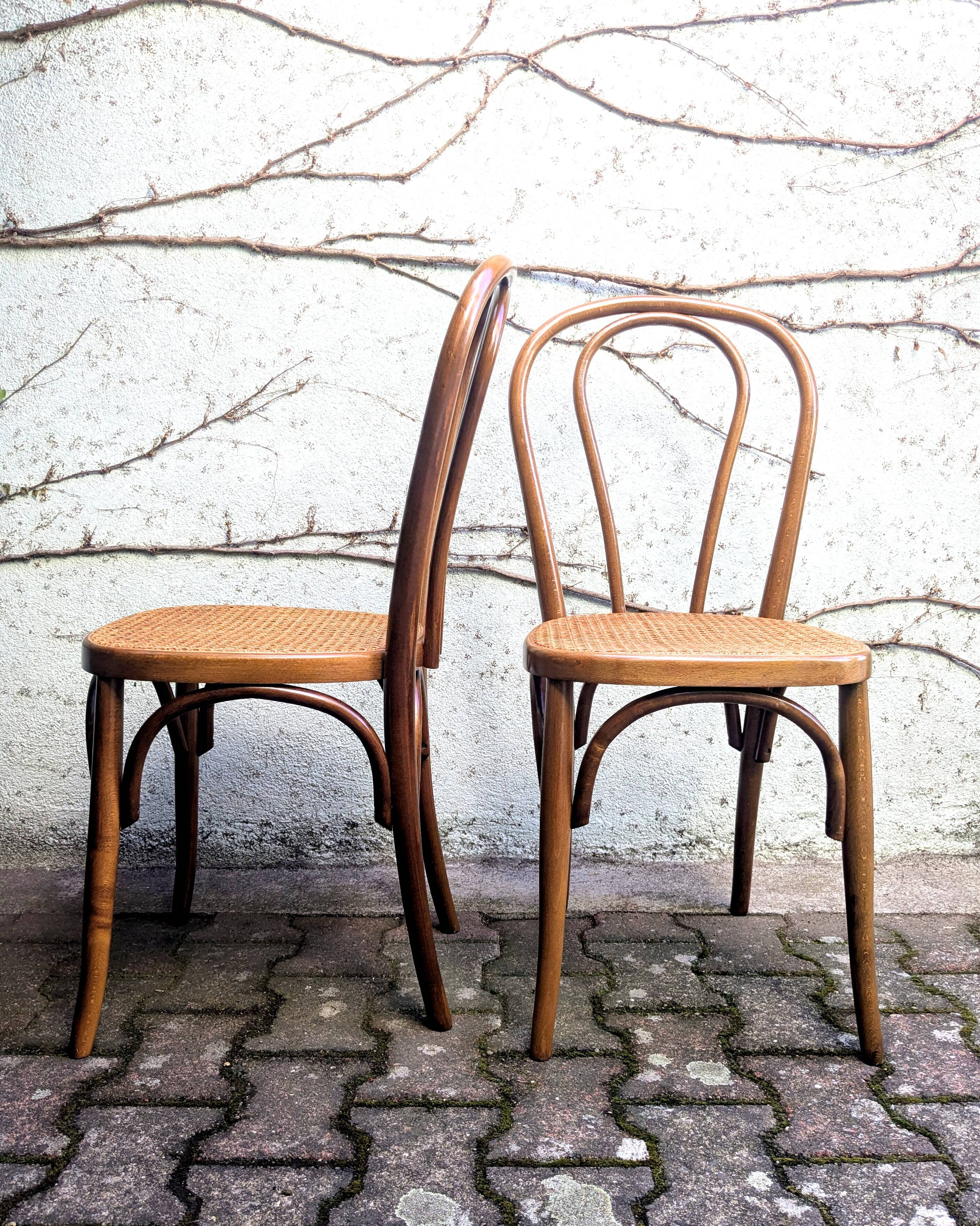 Cane and bentwood chairs