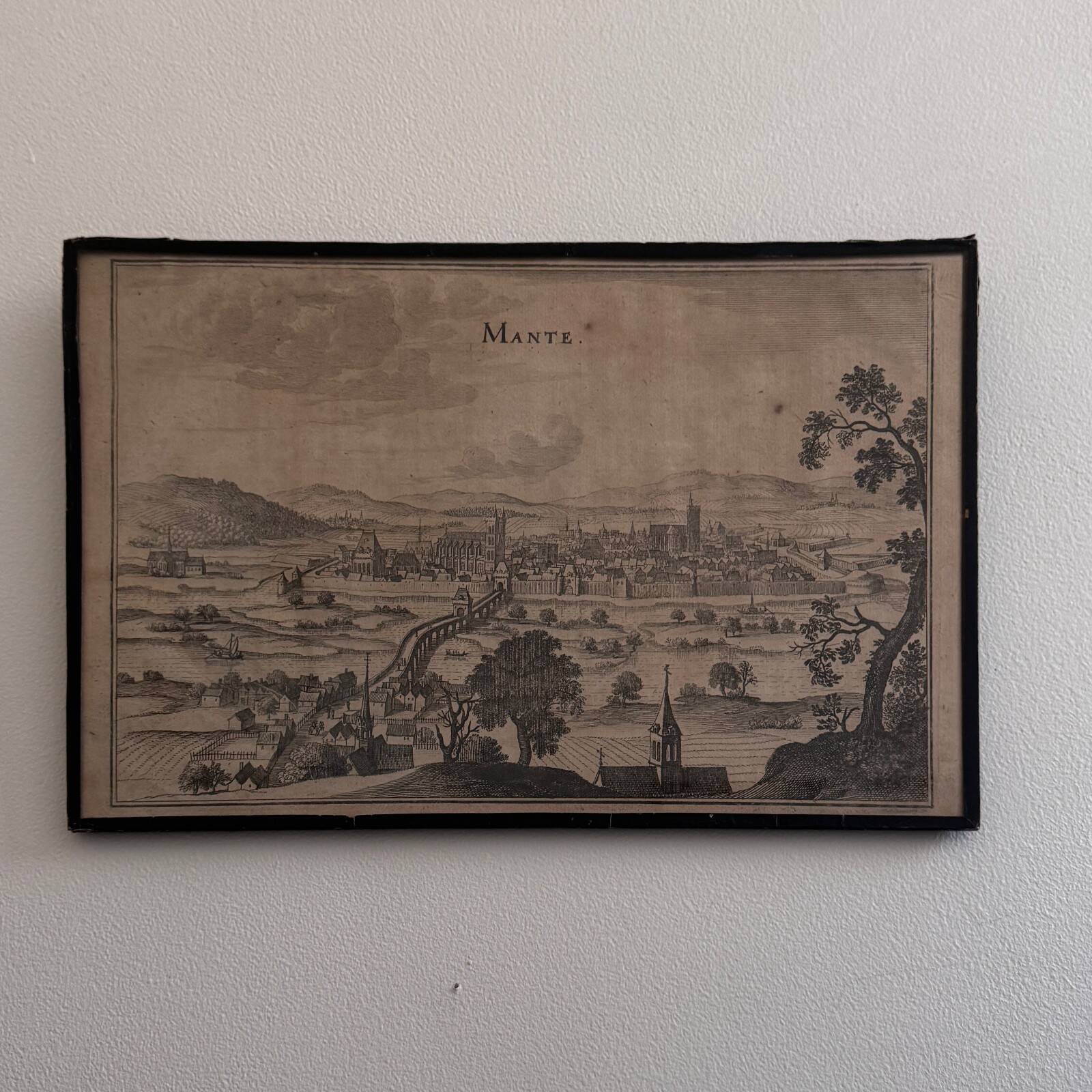 Antique engraving depicting a praying mantis (17th century)