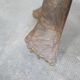 Antique African wooden stool