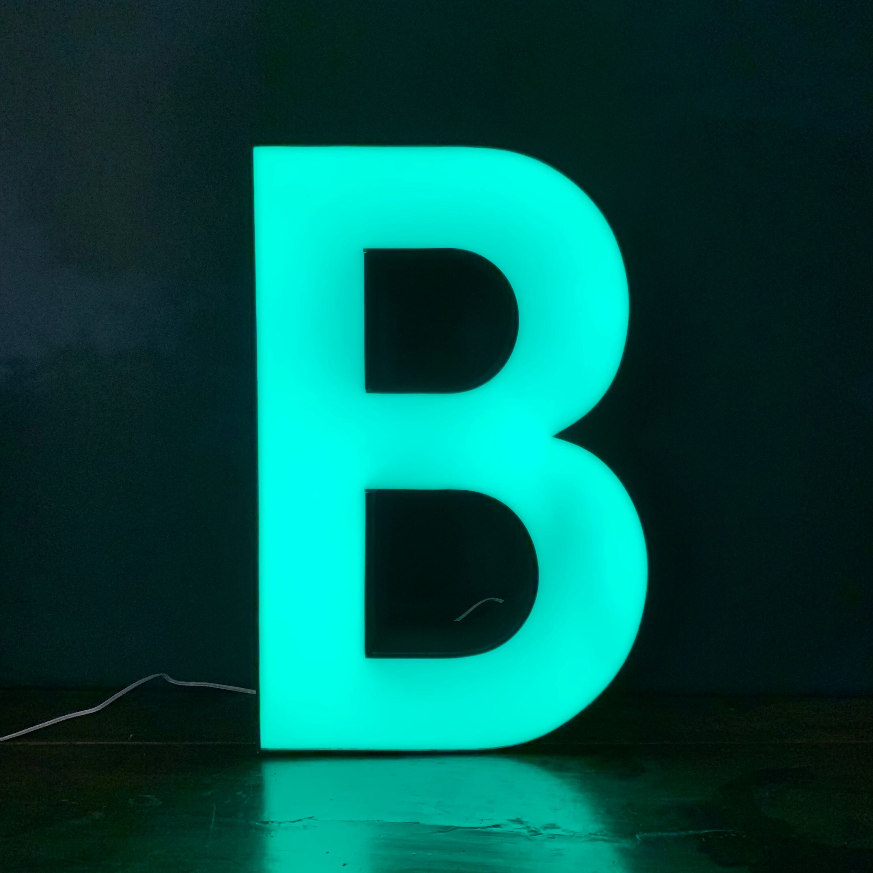 Illuminated sign letter