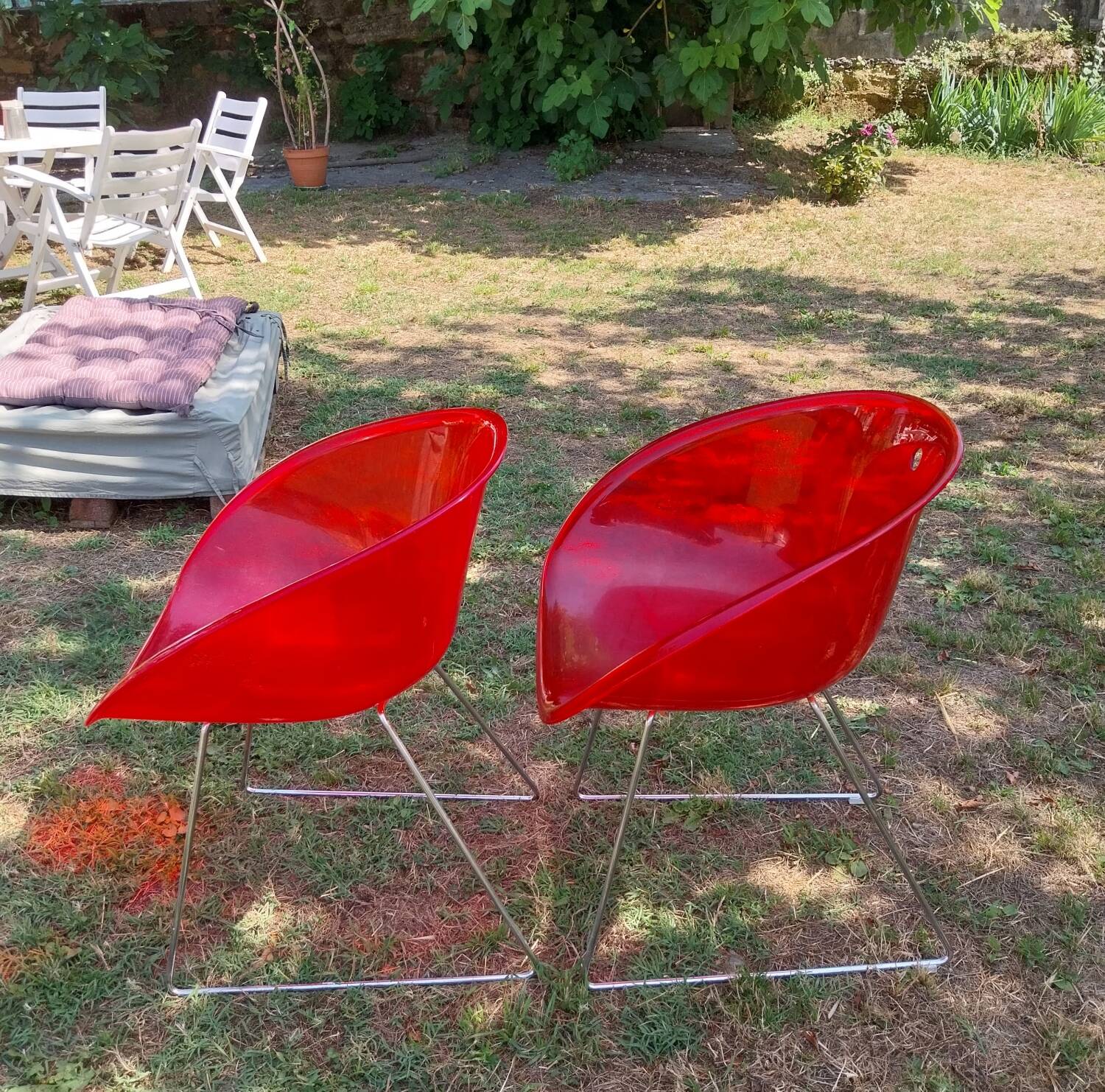 Gliss 921 armchairs for Pedrali