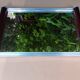 Art Deco period mirror tray