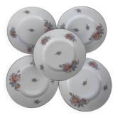Limoges porcelain plates
