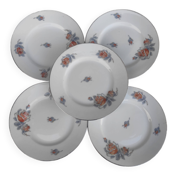 Limoges porcelain plates