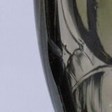 Dish