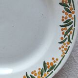 6 Mimosa HBCM dessert plates