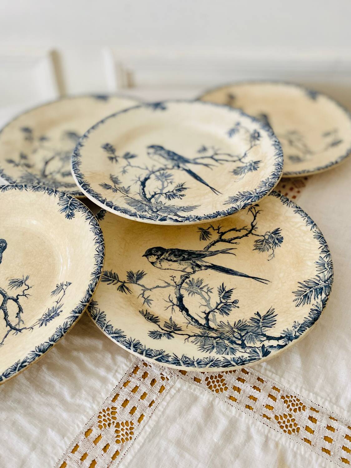 Antique opaque porcelain plates from Gien, Provençal model
