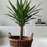 Basket, wicker pot, woven rattan