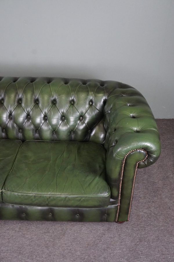 Chesterfield sofa in green cowhide leather