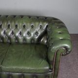 Chesterfield sofa in green cowhide leather