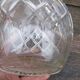 Carafe Crystal carved geometric money minerve and Saint Louis