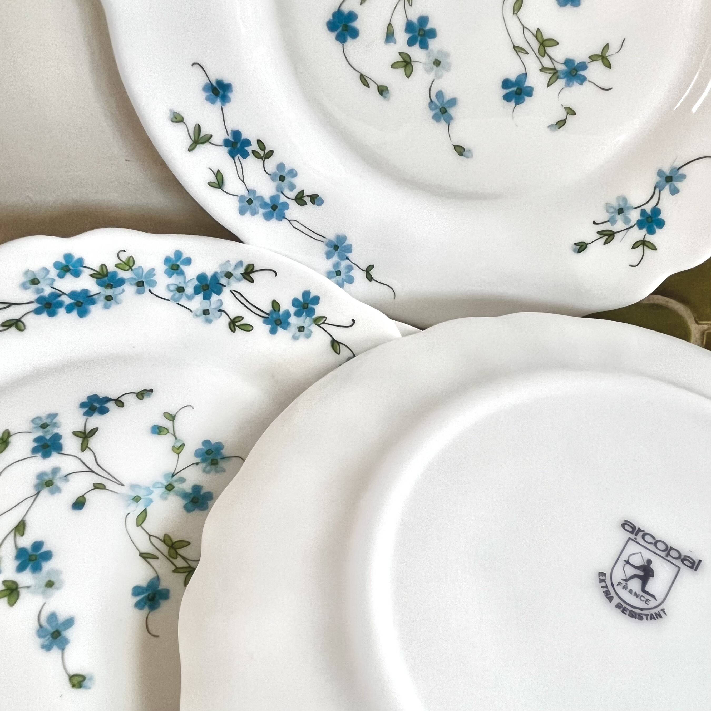 Assiettes à dessert fleurs myosotis Arcopal