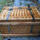 Wicker trunk