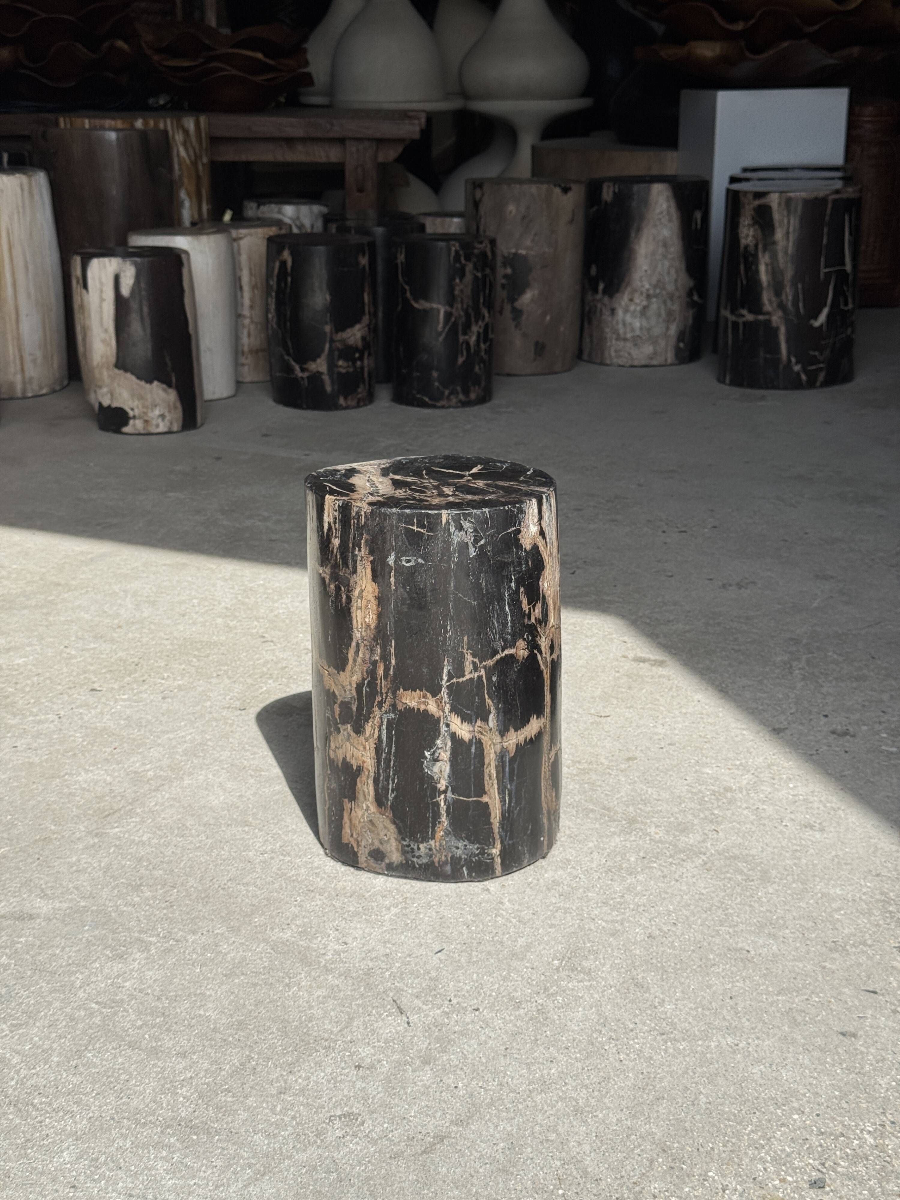 Table d'appoint en bois pétrifié noir