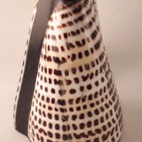 salt salt shaker sea shell real vintage nature curiosity