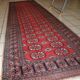 Tapis Vintage Bukhara Uzbek en Laine, Années 1960, Élégance Authentique