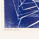 Netz, Wood Cut on Paper, 57 x 36 cm
