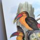 Grande illustration vintage - Toucan de Baillon de John Gould – Planche