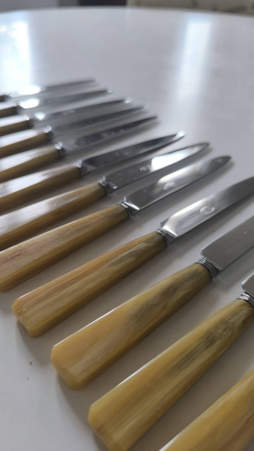 Set of 12 bakelite and stainless steel knives