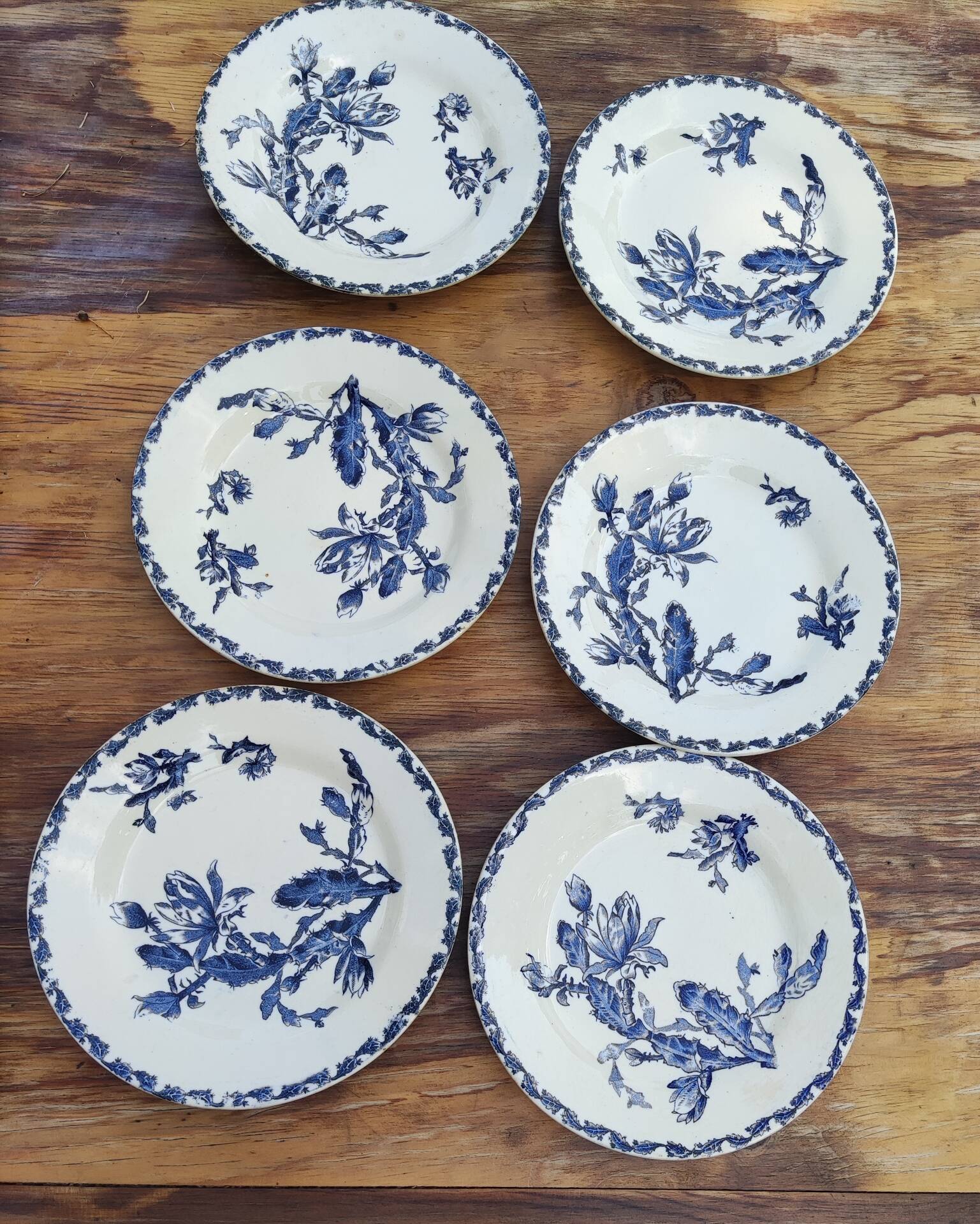 6 flat plates made of Gien earthenware - ironstone - cactus model