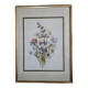 Lithographie bouquet de fleurs sauvages sous cadre doré
