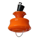 Orange globe