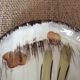 Vintage dish
