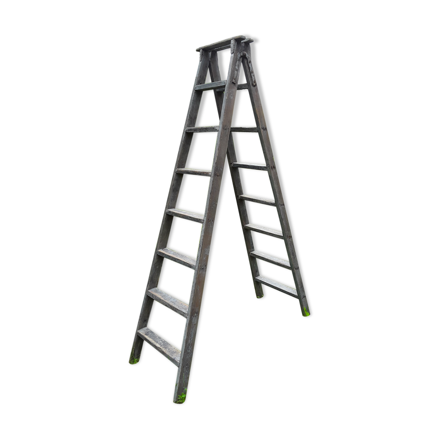 Painter ladder, stepladder