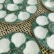 Vintage oyster service in majolica