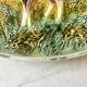 Dish slurry animal model deer 30 years Made in Germany