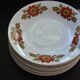 6 Bavaria W Germany floral deep plates