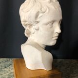 D'arly r. terracotta bust