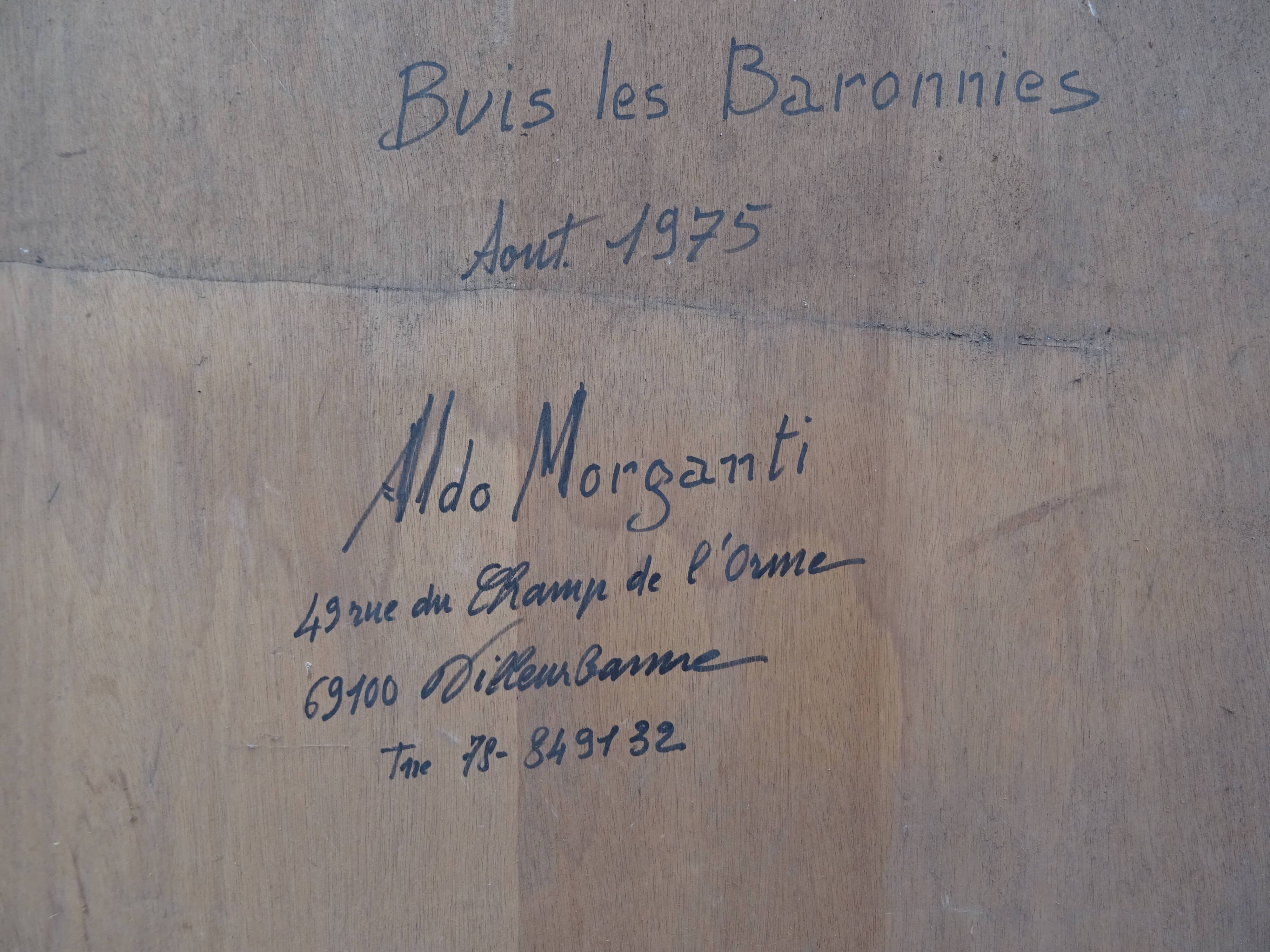 Painting Landscape of Provence Buis les Baronnies Aldo Morganti