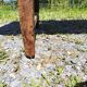 Large rustic farmhouse table bobbin legs