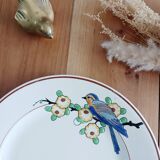 Longwy flat plate, Bird