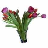 Daum Vase corolle - signature « Daum France »