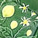 Rectangular dish in vintage lemon slip and made in France