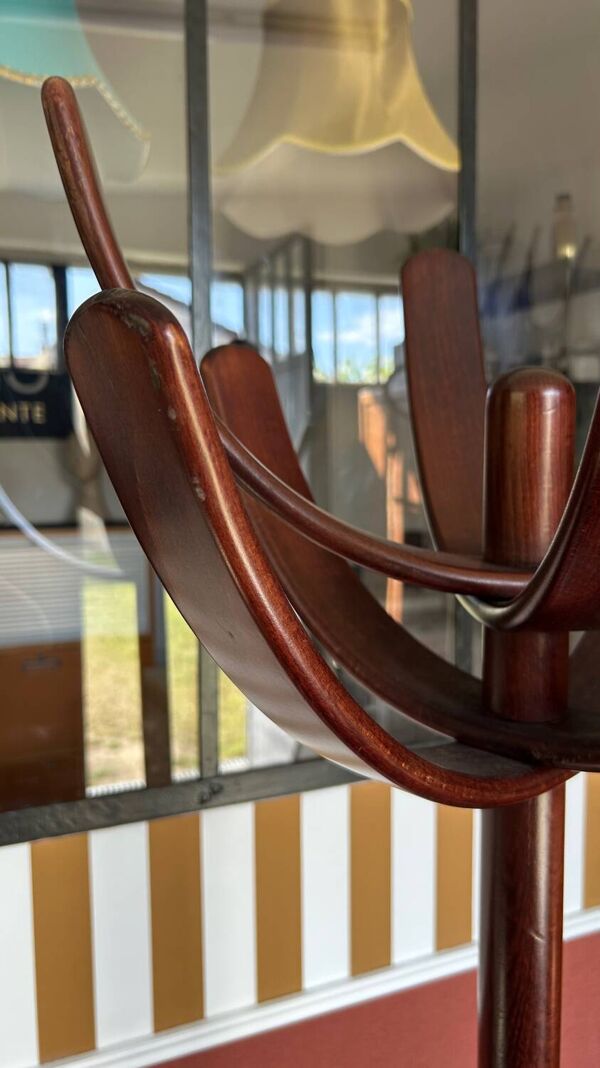 Porte manteau Cactus