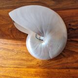 Nautilus Mother-of-pearl shell Nautilus