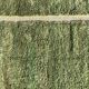 Boujaad Green rug handwoven in natural wool size 250cm×150cm