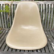 Shell Beige Fiberglass Side Chair Eames Vintage by Herman Miller