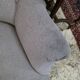 Paire de fauteuils crapaud Napoléon III