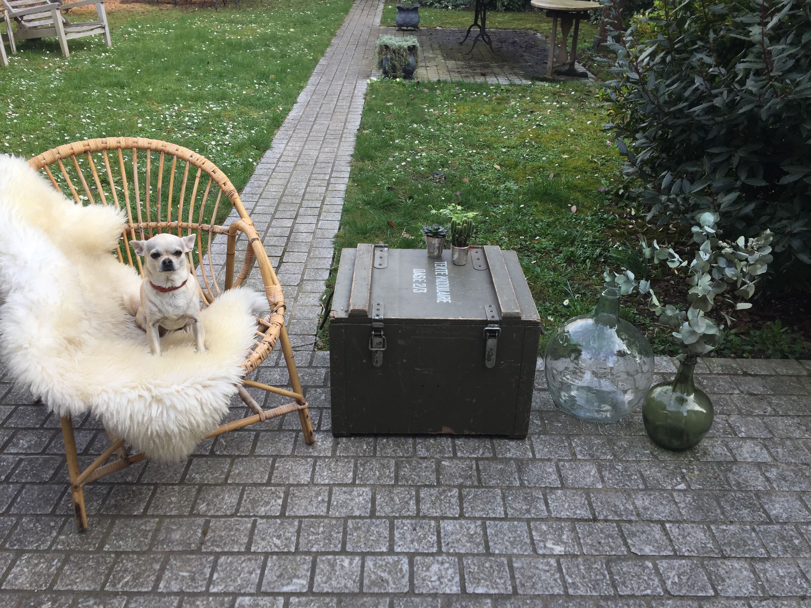 Old trunk or military chest