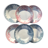 6 assiettes terre de fer dépareillées vintage 1900  a motif floral